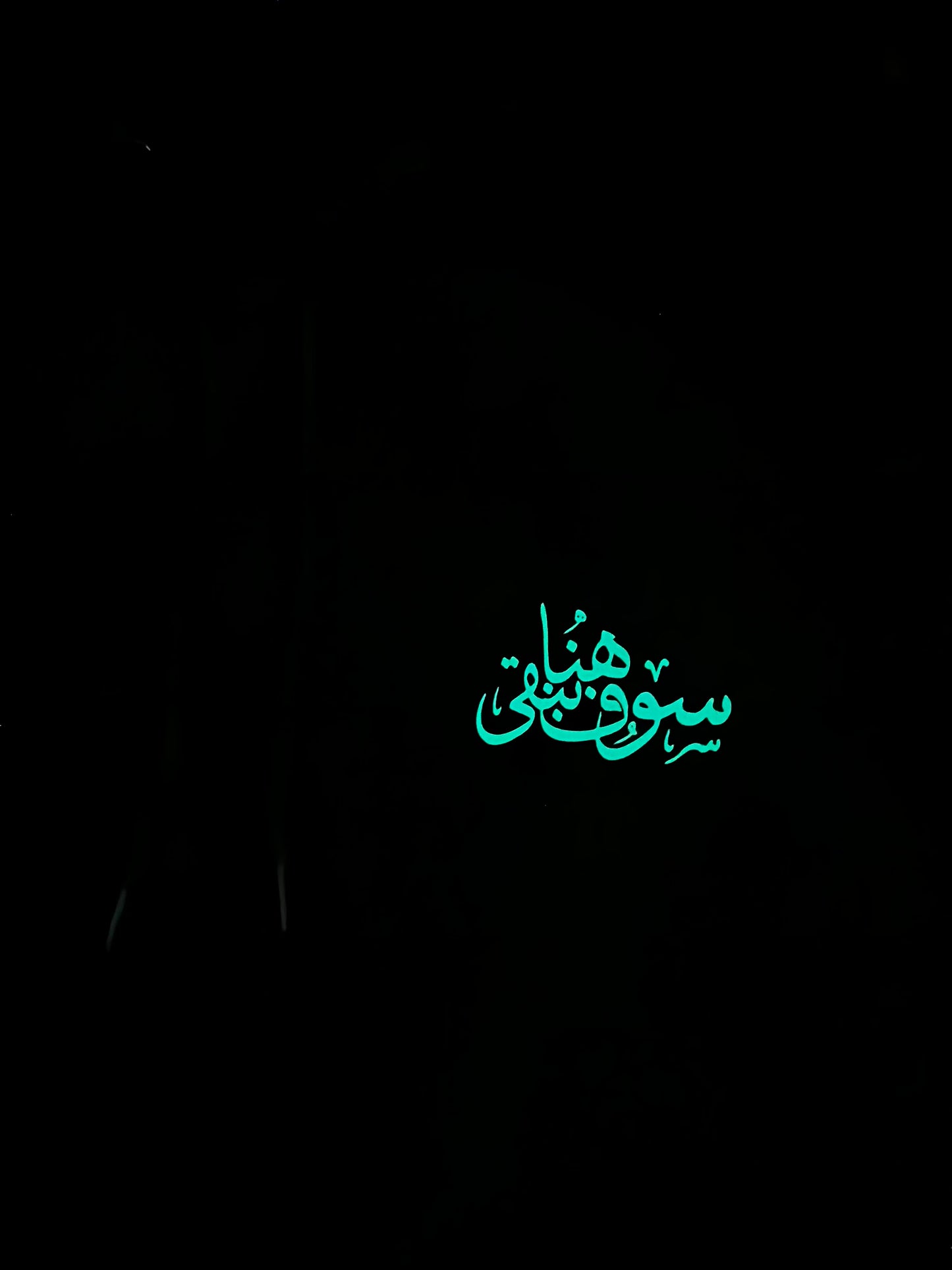 Tracksuit Set “سوف نبقى هنا”